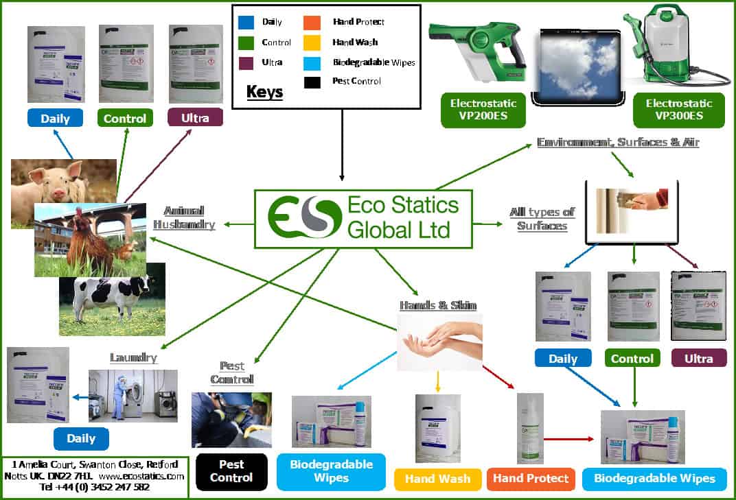 Environmental Policy Statement